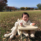 Portable Folding Baby Dining Chair